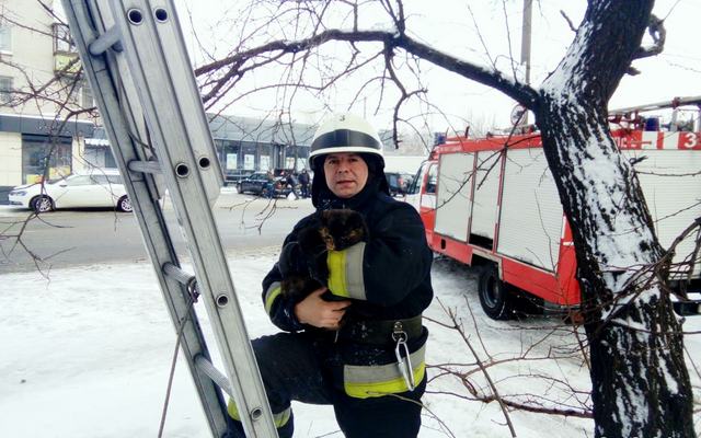 � ����� ����������� ���� ����������� �������� ������