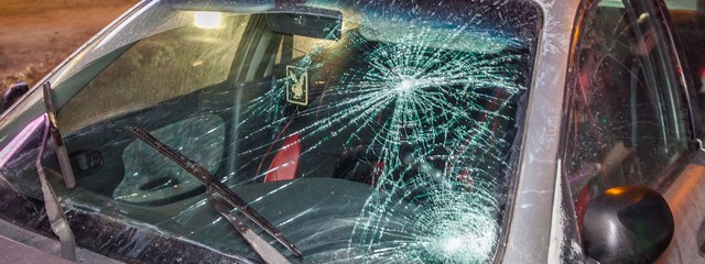 � ������ �� ��������� Daewoo ���� 14-������� ��������