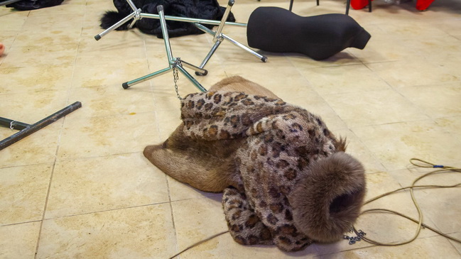 � ������ ���� � ������ �������� ������� ���