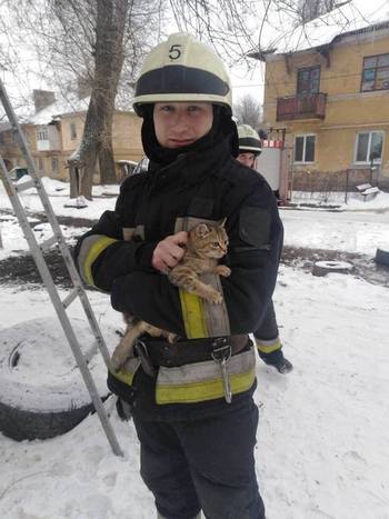 � ����� ������������ ����� ������ � ������