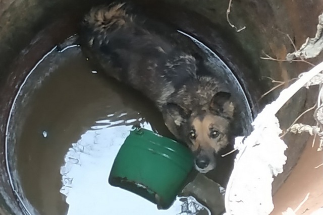 � ������ ��������� ������� ������ �� ������������ 4-� ��������� �������