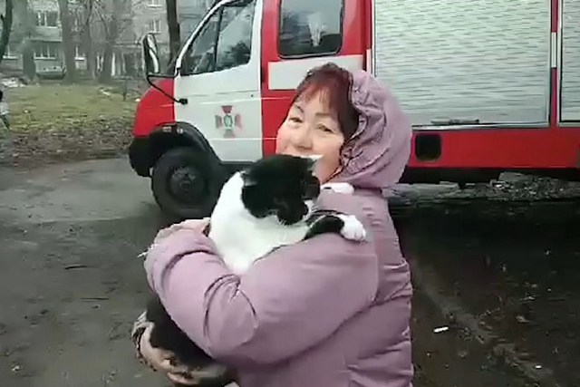 � ������ ��������� ������� �������� �������� �������