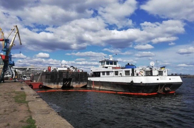 �� 2019 ��� �� ������ ��������� ����� 12 ��� ���� ������