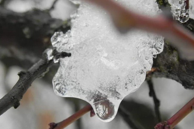 ���� ��������� �� ���������� ����� ��������� �������������� ��������