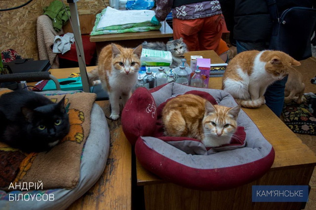 � ��������� �������� ����� ���������� ���������� ��������� ��������