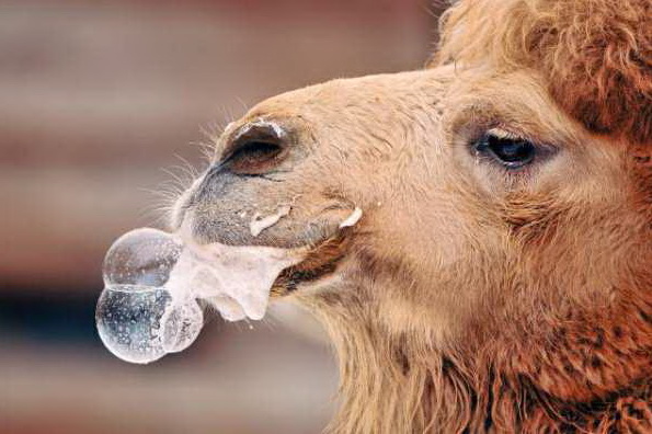 ������� � ��������� ����������: � ������ ��������� ����� ������ � ���� �������� ������