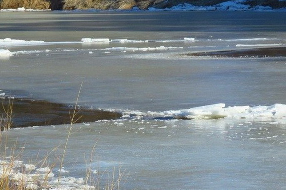 �� ���������������� 13-������ ���� ���� ���� ��������� �� �������