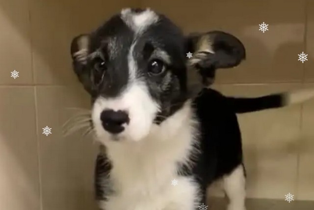 � ������ ���� �� ���� �����, �������� � ���������� ���� ��������� ��������