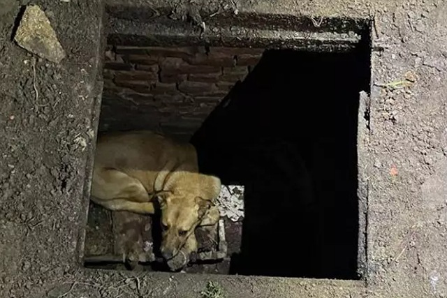 � ������ ��������� ���������� ������� � ��� ������