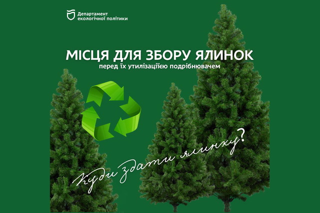 Куда в Днепре нести новогодние елки? Адреса