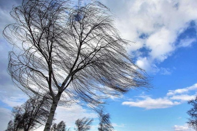 ��������� ������������� ������� � ������� �����