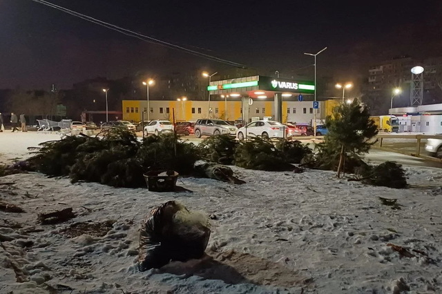 � ������ �������� �������� ���� �������������� ���� ������� ����� 