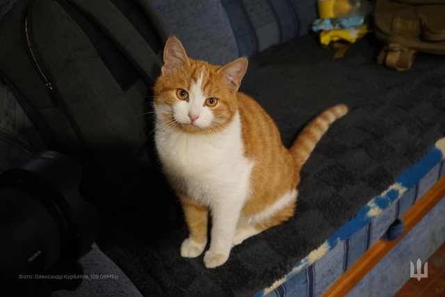 � ����������� ������� ������ ���� �������� ����� ��������� ��������