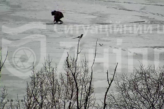 �������� �� ����������� ���������, ������ � ������ ������� �� ���