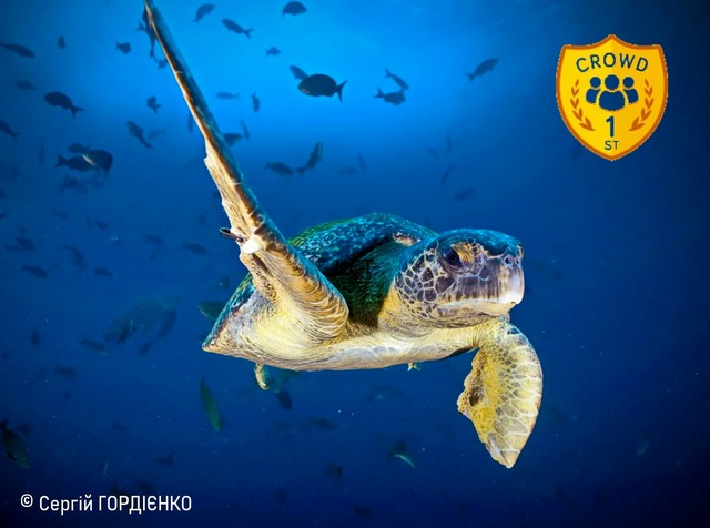 ������������ ��������� ����� ���䳺��� ���� ���������� ����������� ��������