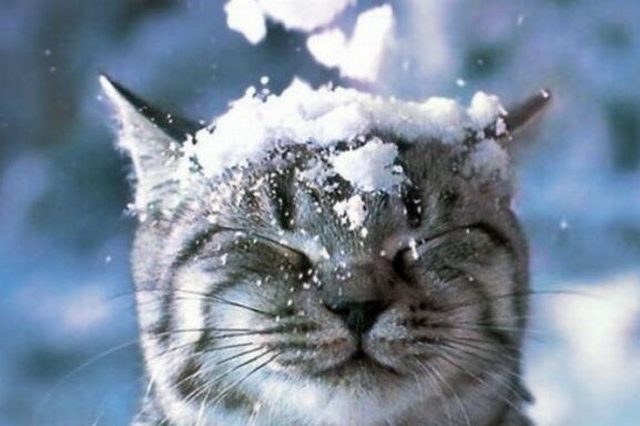 �����, ���������� � -15 ��. ����� ������ ������������ �� ���������������� � 13 �� 17 ������