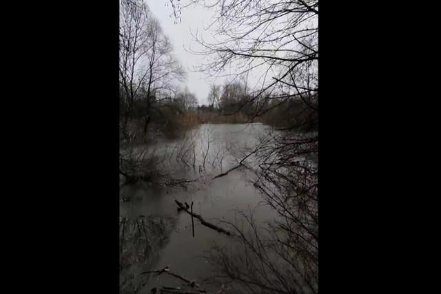 Через парк Дружбы продолжают сливать нечистоты!