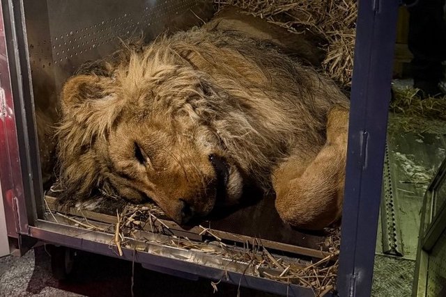 � ���������������� ������������ ����, ������� � ������ ��������� � �������� �������