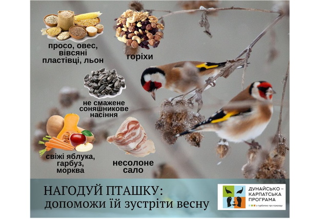 ������� ������ ���������, ��� ���� ������������� ���� � ������