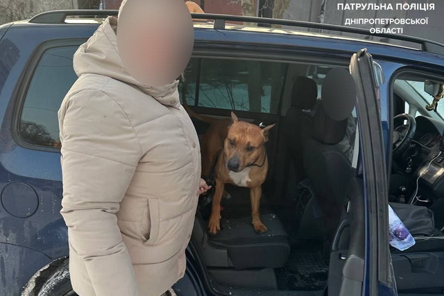 ���������� � ������ ������� ��������� ���������� ������