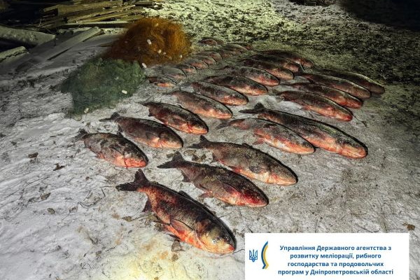 Нарушил правила рыболовства и пытался скрыться от рыбоохраны