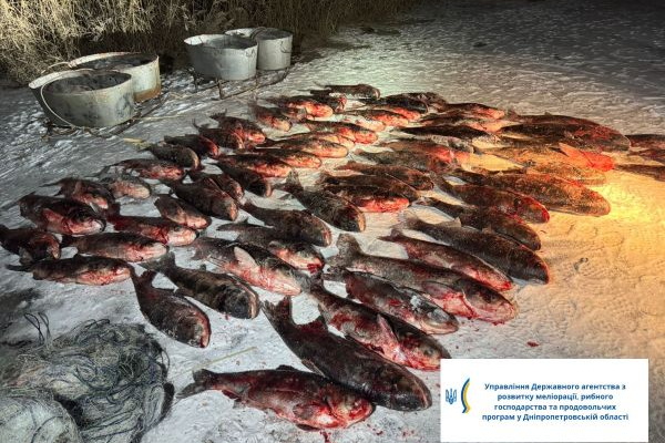 Майже 700 кг незаконного вилову: на Дніпропетровщині виявили браконьєра