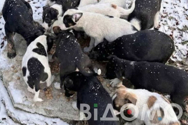 ���������� ������ � ��������� ����������: � ������ ����� ����������� �������� � ���������� ���������