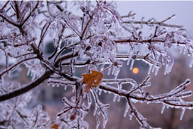 Облачно, на дорогах гололедица: прогноз погоды по Днепропетровщине на 26 января