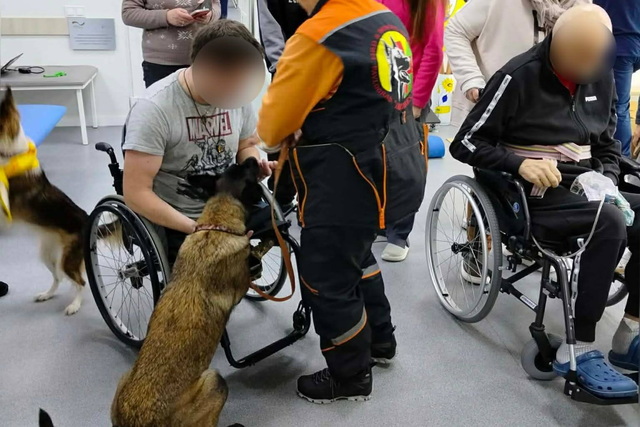 Кинологи отряда «Антарес» помогают проводить реабилитацию пациентов в днепровской больнице