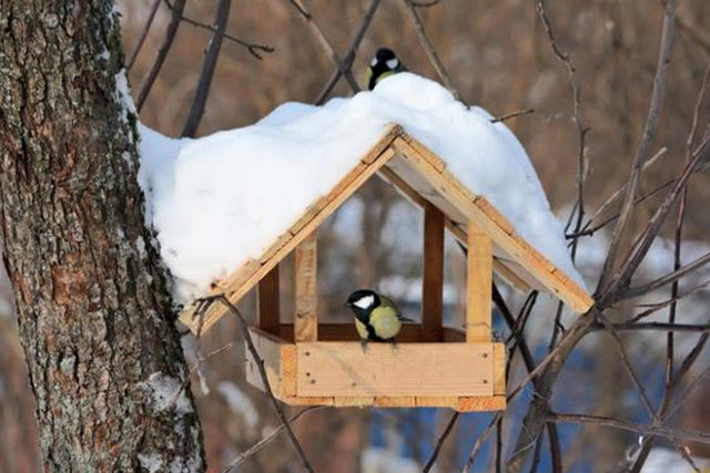 ��� � ��� ��������� ������� ���� � ������ ������