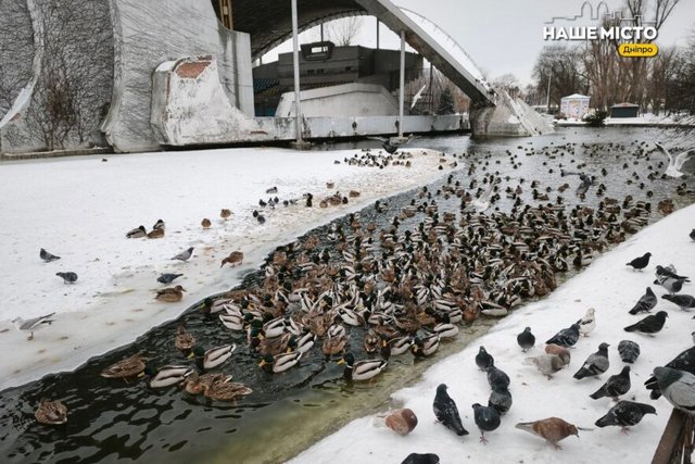 ������ �������: � ���� ����� ��������� ������ ����