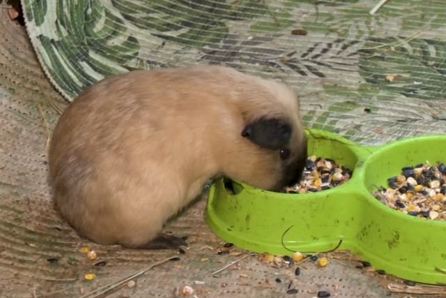 ������ � ��������: ��� ������� ������ ������� � ������ ������� �������� �� ������