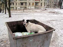 � ������ �������� ������������ ���������� ��� ������