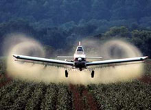 �� 2008 ��� � ������� ������������� 325,719 ���� ����������