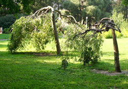 ������������ �������� �� ��������������� � ������������ ����������� ����������