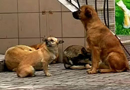 ������ � ��������� �������� ������ ����������� � �����