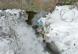 ������� ������� ��� �������