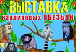 � ���������������� ��������� �������� ���������� �������