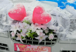 ���������� ���������������� �������� 