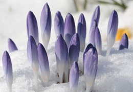 ��������� ����������, ����� � ������� ������ �����