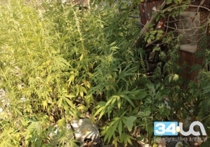 � ��������������� ������� �����������