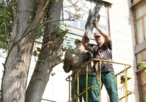 �������� �� �������������� ������� �� ������� ������� �� ������� ��������