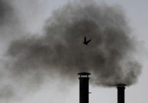 ���������� ���������������� ������������� ��������� ������� �� ������� ������