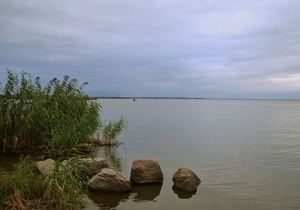 ����������� �� �������� �������� �� ����������� ������