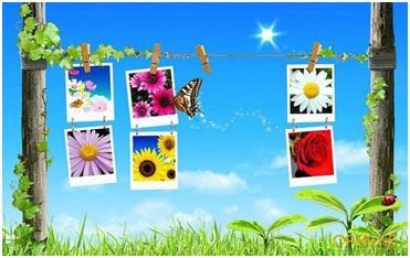 ������ ���� �����!