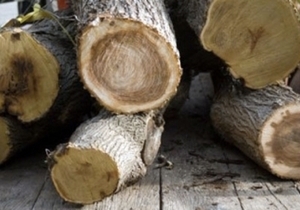 � ���������������� ������������� ��������� �������� 165 ��������