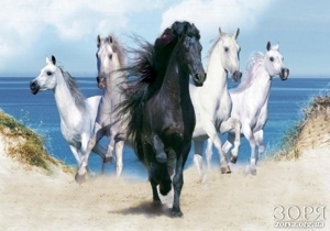 ��� ���� �������������� � ��� ������