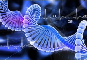 �������� ��� �������� ����� 7 ��������� �����