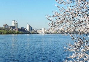 � �������������� ���� �����