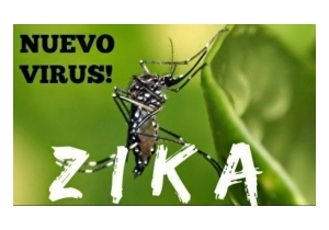 ����������� ������� � ������ � ������ �������� 